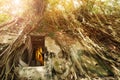 Statue of golden buddha situated in the old temple under root