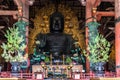 Statue of The Great Buddha in the main hall of Todaiji Temple captured in Nara, Japan Royalty Free Stock Photo