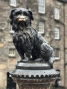 Greyfriars Bobby Dog Statue in Edinburgh, Scotland