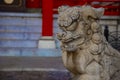 Statue guardian dog at Kanda shrine in Tokyo Royalty Free Stock Photo