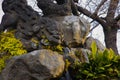 Statue guardian dog at Kanda shrine in Tokyo Royalty Free Stock Photo