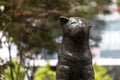 Statue of Hachiko, a Japanese Akita dog remembered for his remarkable loyalty to his owner