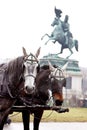 Statue at heldenplatz Vienna