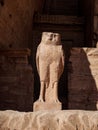 Statue of Horus at the Abu Simbel Great temple in Egypt Royalty Free Stock Photo