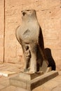 Statue of Horus, Edfu Temple, Egypt