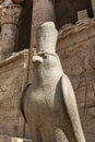 Statue of Horus in Edfu Temple, Egypt