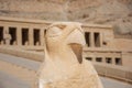 Statue of Horus at the Temple of Hatshepsut Royalty Free Stock Photo