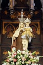 Statue of the image of Our Lady of Carmel - Nossa Senhora do Carmo