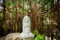 Statue of indhuism and buddhism prayer near banyan tree