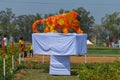 A statue of indian lion which is made of cotton and fruit showcase on the agriculture festival, pusa, New Delhi