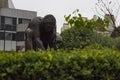 Statue of Isaac Newton at the British Library