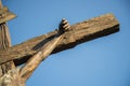 Statue of Jesus on the Cross