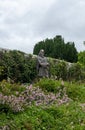 Statue of King Alfred by Andrew Du Mont in the Shaftsbury Abbey, Dorset, UK