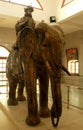 The statue of king Karikala chola on the elephant situated in the the manimandapam at the Grand Kallanai.