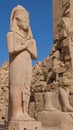 Statue of King Ramesses II with his queen at the feet in Karnak Temple in Luxor, Egypt