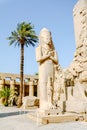 Statue of King Ramses II in Karnak temple. Luxor, Egypt. Royalty Free Stock Photo