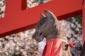 Statue of a Kitsune, Japanese Shinto red fox god, in Fushimi Inari in Kyoto