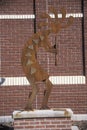 Statue of Kokopelli, Quetzal God with brick wall in background