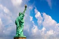 Statue of Liberty in New York Royalty Free Stock Photo