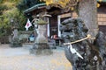 Statue of lion around Yasaka Jinja Shrine complex in Beppu