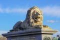 Statue of a lion. Lion statue at the bridgehead of the SzÃ©chenyi Chain Bridge in Budapest Hungary.