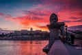 Statue of the Lion at the Chain Bridge, Budapest, Hungary Royalty Free Stock Photo