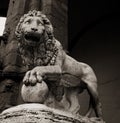 Statue of lion in Florence Royalty Free Stock Photo