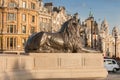 Statue of Lion in gold light on Trafalgar Square in London, Uni Royalty Free Stock Photo