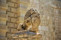 Statue of a lion holding the shield with the coats of arms near Royalty Free Stock Photo