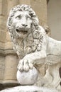 Statue of a lion at the Loggia dei Lanzi in Florence, Italy Royalty Free Stock Photo