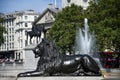 Statue of a lion at Trafalgar square in London Royalty Free Stock Photo