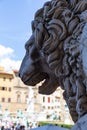 Statue of a lion with open mouth in Florence Royalty Free Stock Photo