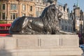 Statue of Lion on Trafalgar Square in London, United Kingdom. Royalty Free Stock Photo