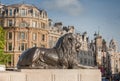 Statue of Lion on Trafalgar Square in London, United Kingdom. Royalty Free Stock Photo