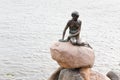 Statue of the Little Mermaid in Copenhagen