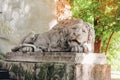 Statue of a lying stone lion. Stone sleeping lion on a pedestal near the old building. Medieval architecture