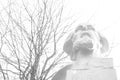 A statue: a man`s head is looking into the distance, behind her is a tree with a lot of thin branches Royalty Free Stock Photo