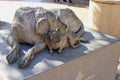 Statue in memory of abandoned cats and dogs in Valencia Spain