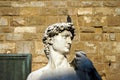 Statue of Michelangelo's David Royalty Free Stock Photo