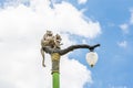 Statue of a monkey family on lamp post on blue sky. Royalty Free Stock Photo