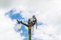 Statue of a monkey family on lamp post on blue sky. Royalty Free Stock Photo