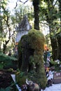 Statue of a mossy elephant