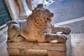 Statue lion in Museum Capitoline, Rome Italy