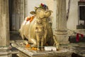 Statue of Nandi Bull