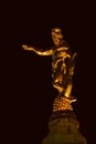 Statue at night Royalty Free Stock Photo