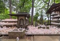 Statue of Nyoirin Kannon Bosatsu surrounded by manekineko in Buddhist gotokuji temple.