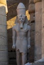 Statue of Pharaoh in Luxor temple Royalty Free Stock Photo