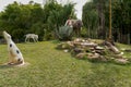 Statue in a place with lots of vegetation, located in a theme park.