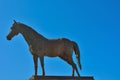 Statue of a proud powerful horse