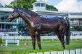 Statue of Racehorse at Garrison Savannah in Barbados